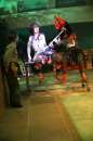 les princes bonobos 044 * 4272 x 2848 * (9.1MB)